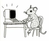 Mouse working on computer